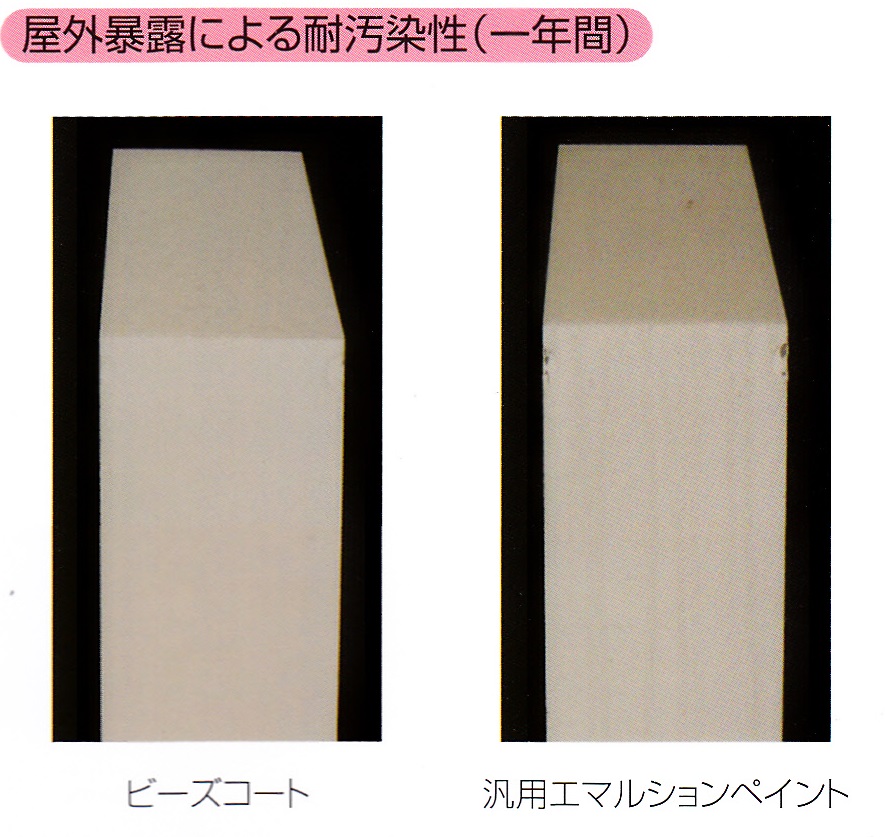 �r�[�Y�R�[�g�ቘ����