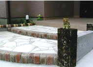 �O�\�E�G�N�X�e���A�H��