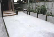 �O�\�E�G�N�X�e���A�H��