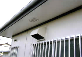 �O�ǎ{�H��